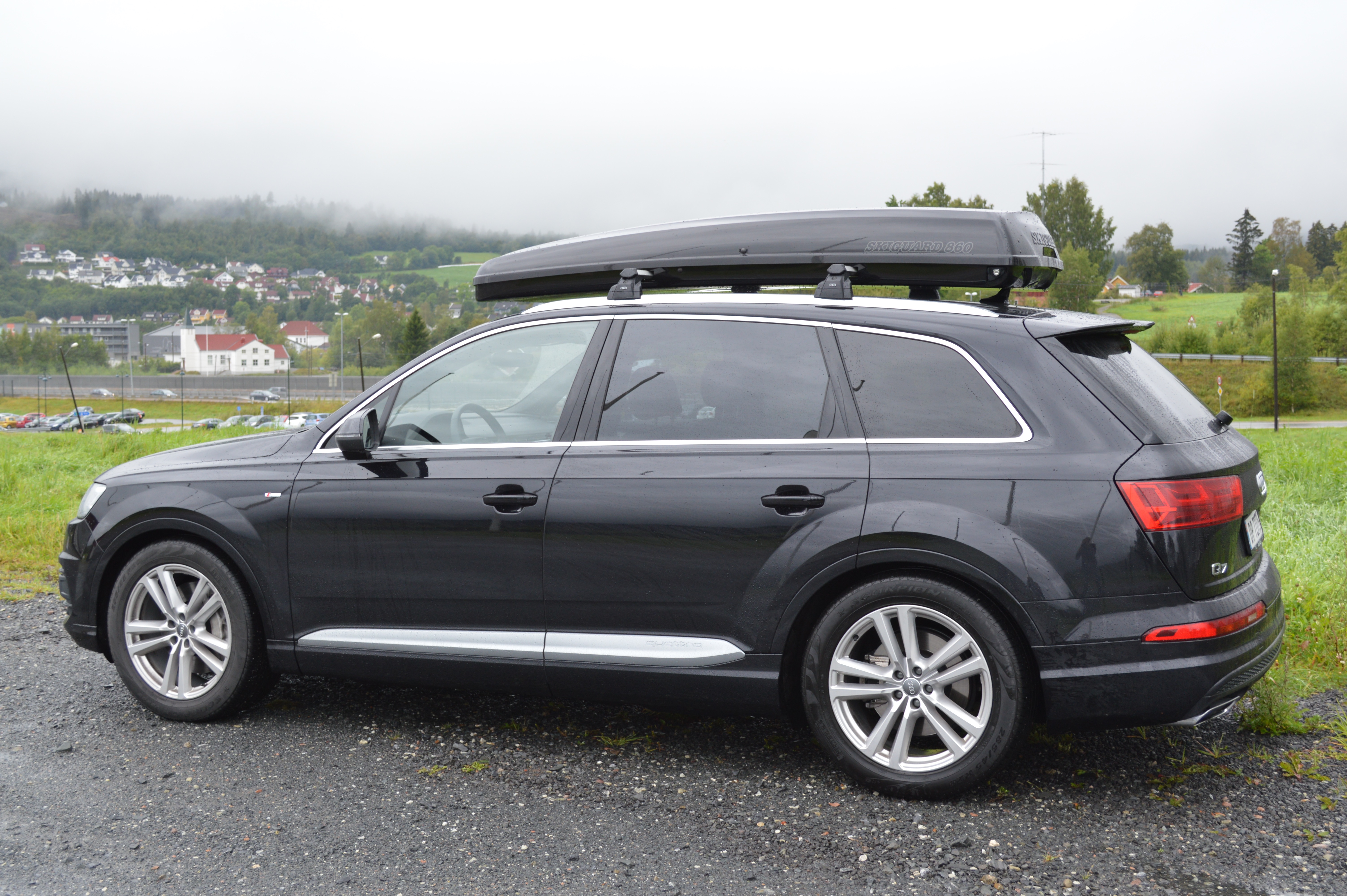 Skiguard roof box deals